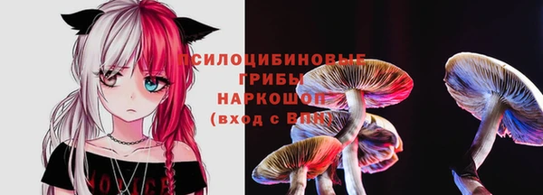 таблы Иннополис